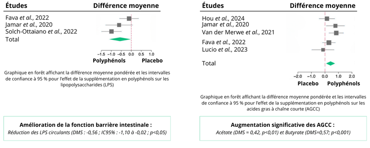 Forest plot de amelioration de la barriere intestinale et augmentation des AGCC